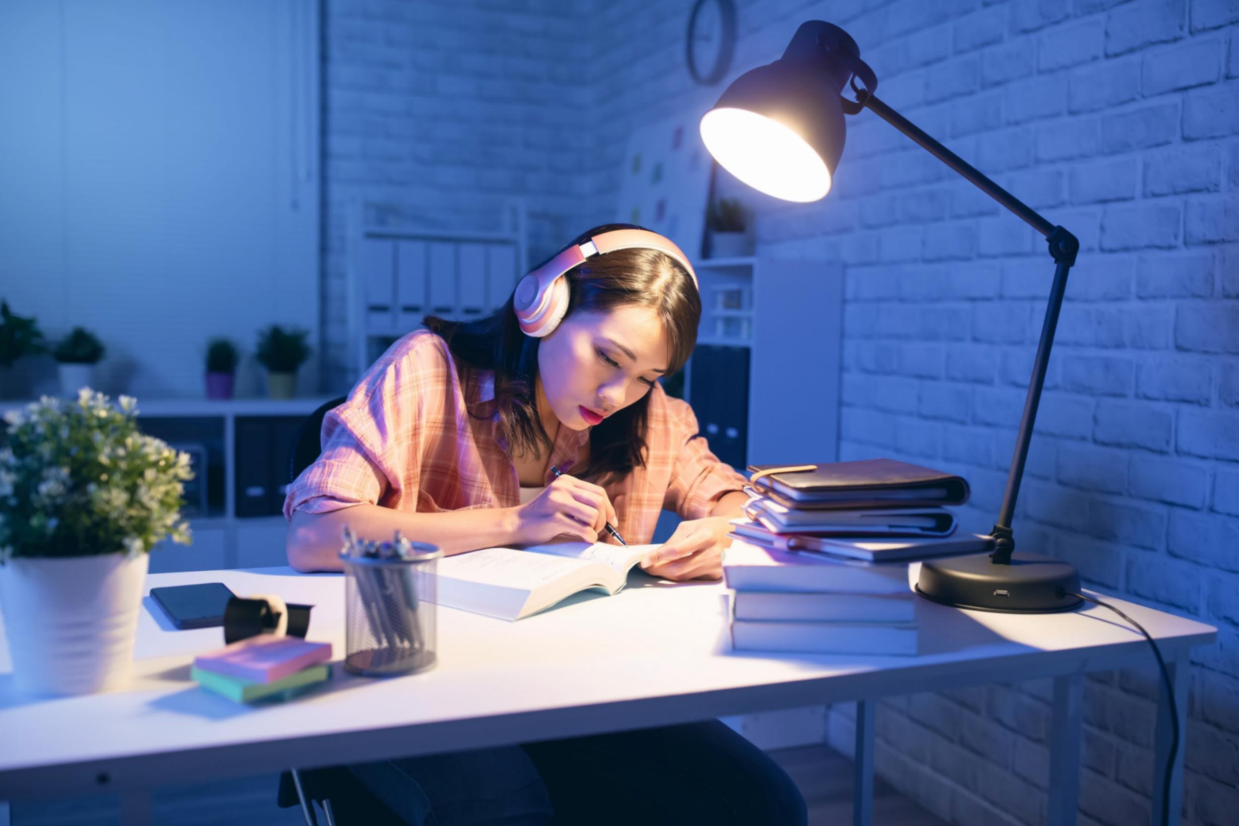 Environnement d'apprentissage professionnel et accueillant chez Irnocalent